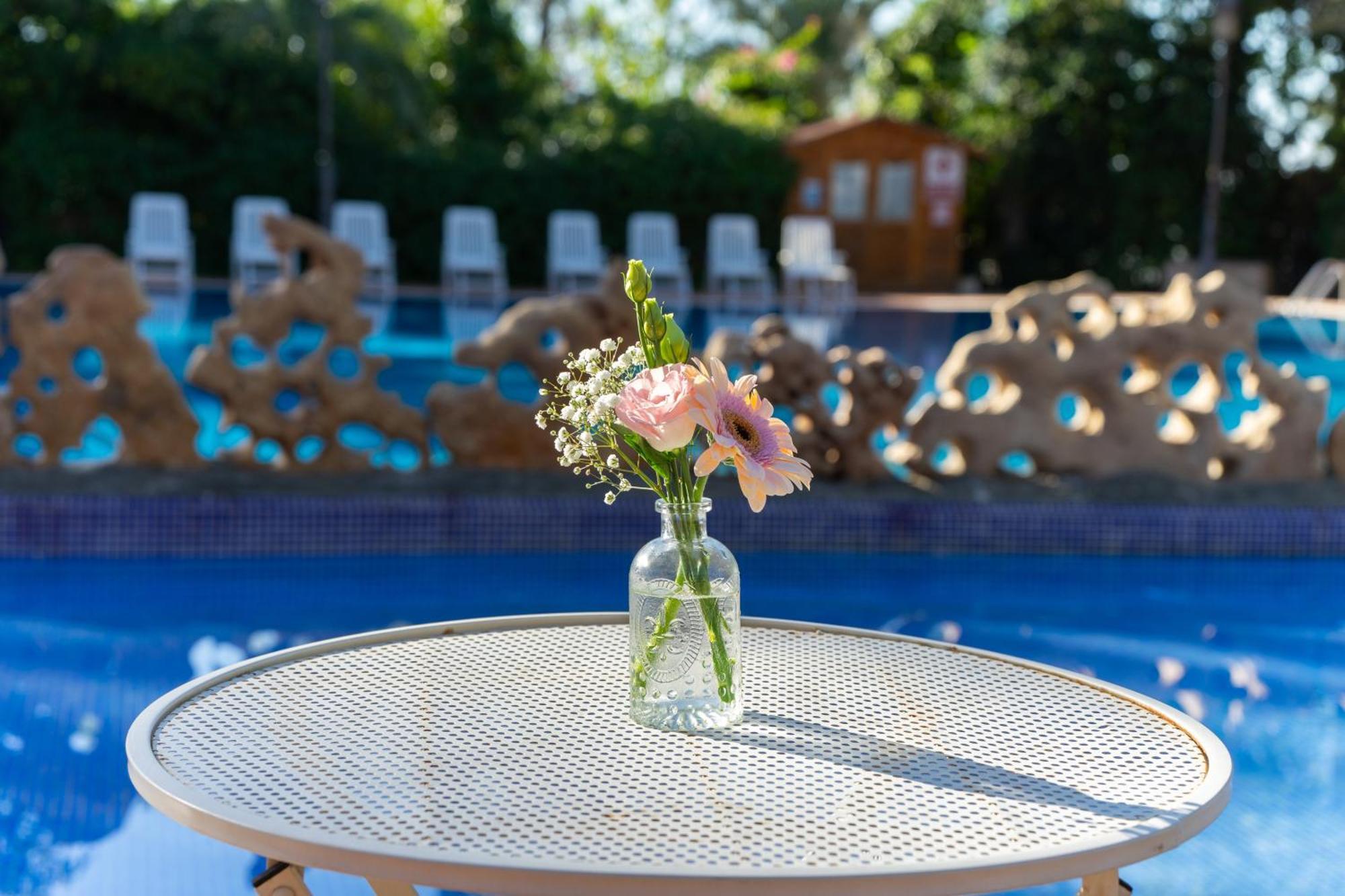 Las Palmeras クレビジェンテ エクステリア 写真